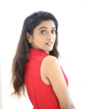 Heroine Roopa Koduvayur at Sarangapani Jathakam Success Meet Photos 24