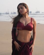 Hot Kate Sharma in a Maroon Saree with Matching Sleeveless Blouse Photos 06