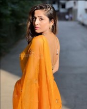 Hot Kate Sharma in an Orange Saree Photos 02