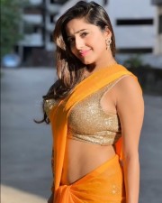 Hot Kate Sharma in an Orange Saree Photos 04