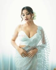 Hot Symrann Kaur Cleavage in a Embroidered Saree Photos 02