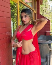 Irresistible Actress Kate Sharma in a Red Saree with Halter Blouse Photos 06