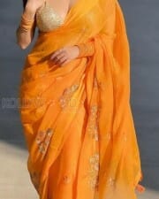 Kate Sharma in a Revealing Orange Saree Photos 01