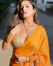 Kate Sharma in a Revealing Orange Saree Photos 02