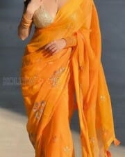 Kate Sharma in a Revealing Orange Saree Photos 03