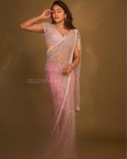 Kumaara Sambavam Actress Payal Radhakrishna in a Sheer Pink Saree with a Sleeveless Embroidered Blouse Photos 05 Kumaara Sambavam Actress Payal Radhakrishna in a Sheer Pink Saree with a Sleeveless Embroidered Blouse Photos 05