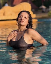 Passionate Antara Biswas Asli Monalisa in a Dark Metallic One Piece Shimmering Swimsuit Photos 03