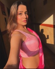 Seductive Kate Sharma in a Pink Saree Pictures 01