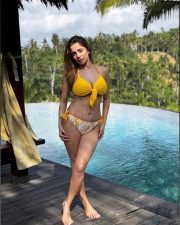 Seductive Kate Sharma in a Yellow Two Piece Bikini Photos 02