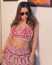Sexy Hot Kate Sharma in a Pink Lehenga Photos 01