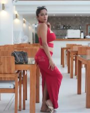 Steamy Kate Sharma in a Two Piece Red Halter Neck Crop Top with a Heart Ring Detail and Ruched Maxi Skirt Pictures 07