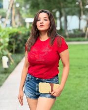 Stylish Mona Lisa Legs in a Red Crochet Crop Top and Denim Mini Skirt Photos 04