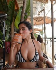 Tempting Kate Sharma Cleavage in a Black and White Striped Crochet Bikini Set Photos 02
