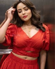 Actress Aanchal Munjal in a V Neck Puff Sleeve Crop Top with a Wrap Around Ruffled Skirt Photos 02