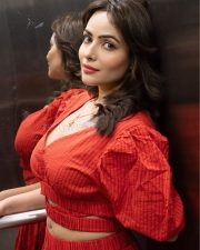 Actress Aanchal Munjal in a V Neck Puff Sleeve Crop Top with a Wrap Around Ruffled Skirt Photos 03