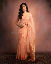 Beautiful Rukmini Vasanth in a Peach Organza Saree with a Matching High Neck Blouse Pictures 01