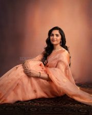 Beautiful Rukmini Vasanth in a Peach Organza Saree with a Matching High Neck Blouse Pictures 03