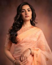 Beautiful Rukmini Vasanth in a Peach Organza Saree with a Matching High Neck Blouse Pictures 04