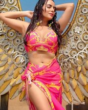 Beauty Queen Aanchal Munjal in a Pink and Yellow Bikini Swimsuit Photos 01