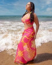 Beauty Queen Aanchal Munjal in a Pink and Yellow Bikini Swimsuit Photos 04