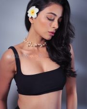 Daring Afreen Alvi Midriff in a Black Crop Top and Low Waist Fitted Skirt Photos 01 Daring Afreen Alvi Midriff in a Black Crop Top and Low Waist Fitted Skirt Photos 01