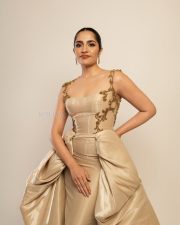 Elegant Actress Rukmini Vasanth in a Gold Embroidered Corset Gown Photos 01