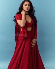 Graceful Beauty Rukmini Vasanth in a Red Bralette Lehenga Photos 01