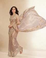 Rising Style Icon Rukmini Vasanth in a Beige Sheer Saree with Matching Sleeveless Blouse Pictures 05 Rising Style Icon Rukmini Vasanth in a Beige Sheer Saree with Matching Sleeveless Blouse Pictures 05