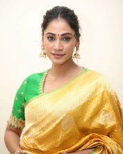 Actress Anukreethy Vas at Tiger Nageswara Rao Pre Release Event Stills 26
