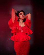Alluring Pragya Nagra in a Red Ruffled Dress Photos 01