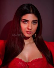 Alluring Pragya Nagra in a Red Ruffled Dress Photos 04