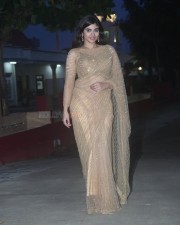 Beautiful Pragya Nagra in a Glittering Saree Photos 06
