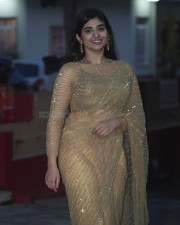 Beautiful Pragya Nagra in a Glittering Saree Photos 07