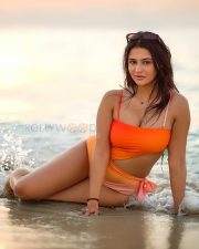 Breathtaking Actress Prakriti Pavani in a Orange Monokini Photos 02 Breathtaking Actress Prakriti Pavani in a Orange Monokini Photos 02