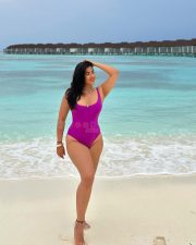 Chubby Beauty Nikita Sharma in a Pink One Piece Bikini Swimsuit Photos 02