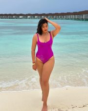 Chubby Beauty Nikita Sharma in a Pink One Piece Bikini Swimsuit Photos 04