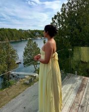 Chubby Beauty Nikita Sharma in a Pistachio Green Bodice Maxi Dress Photos 04