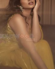 Dazzling Actress Pragya Nagra in a Yellow Embellished Saree Photos 01 Dazzling Actress Pragya Nagra in a Yellow Embellished Saree Photos 01