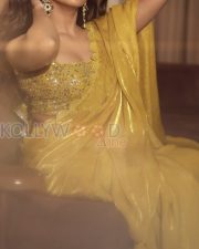 Dazzling Actress Pragya Nagra in a Yellow Embellished Saree Photos 02 Dazzling Actress Pragya Nagra in a Yellow Embellished Saree Photos 02