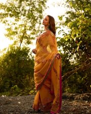 Dream Girl Tripti Dimri in a Yellow Embroidered Saree with a Pink Embroidered Blouse Photos 07 Dream Girl Tripti Dimri in a Yellow Embroidered Saree with a Pink Embroidered Blouse Photos 07