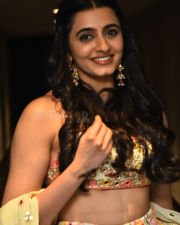 Heroine Maanasa Choudhary at Gaayapadda Simham Trailer Launch Pictures 11