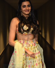 Heroine Maanasa Choudhary at Gaayapadda Simham Trailer Launch Pictures 17