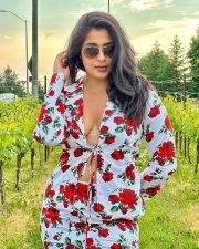 Hot Nikita Sharma Boobs Braless in a Rose Printed Dress Pictures 04