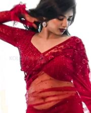 Laggam Actress Pragya Nagra in a Red Netted Saree Photos 01