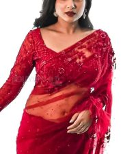 Laggam Actress Pragya Nagra in a Red Netted Saree Photos 02