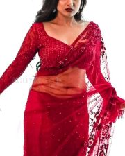 Laggam Actress Pragya Nagra in a Red Netted Saree Photos 03