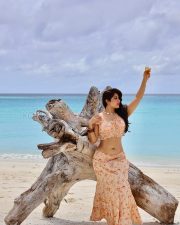 Radiant Actress Nikita Sharma in a Peach Floral Crop Top Skirt Photos 02