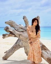 Radiant Actress Nikita Sharma in a Peach Floral Crop Top Skirt Photos 06