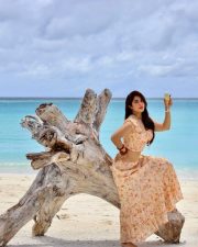 Radiant Actress Nikita Sharma in a Peach Floral Crop Top Skirt Photos 07