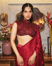 Resplendent Actress Kusha Kapila in a Maroon Embroidered Saree with Sequin Blouse Photos 02 Resplendent Actress Kusha Kapila in a Maroon Embroidered Saree with Sequin Blouse Photos 02